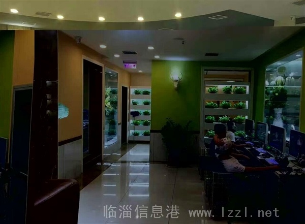 辛店網(wǎng)吧招聘前臺(tái)收銀員