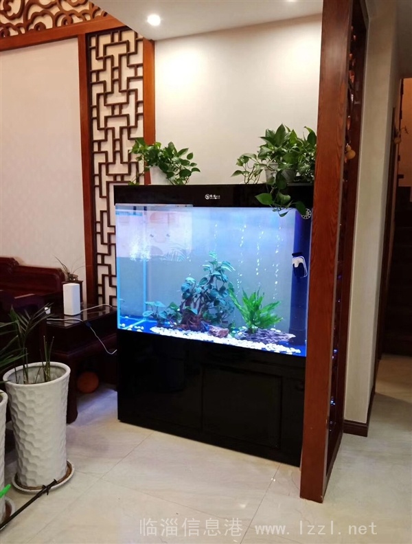定制出售精美魚(yú)缸