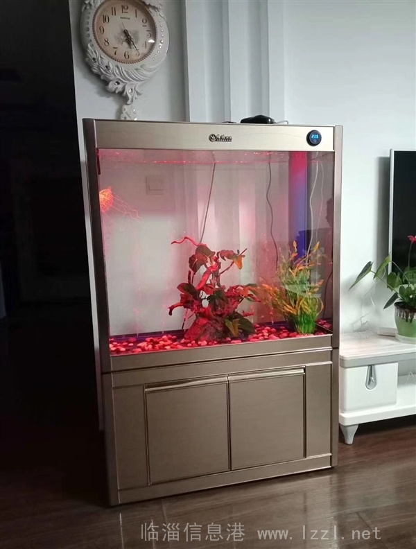 定制出售精美魚(yú)缸