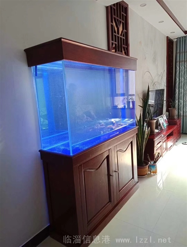 定制出售精美魚(yú)缸