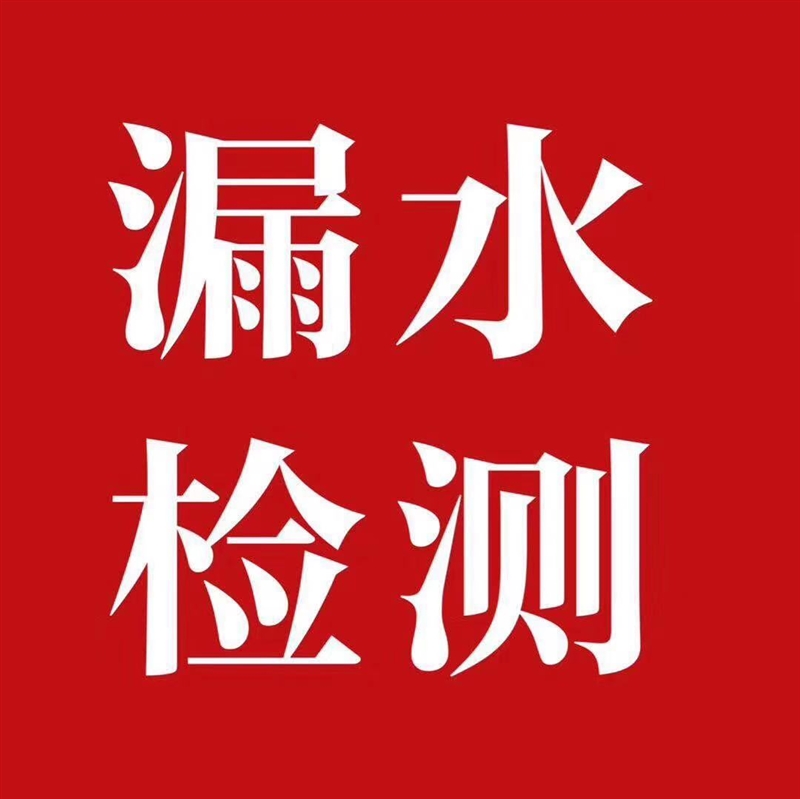 淄博測漏的圖標