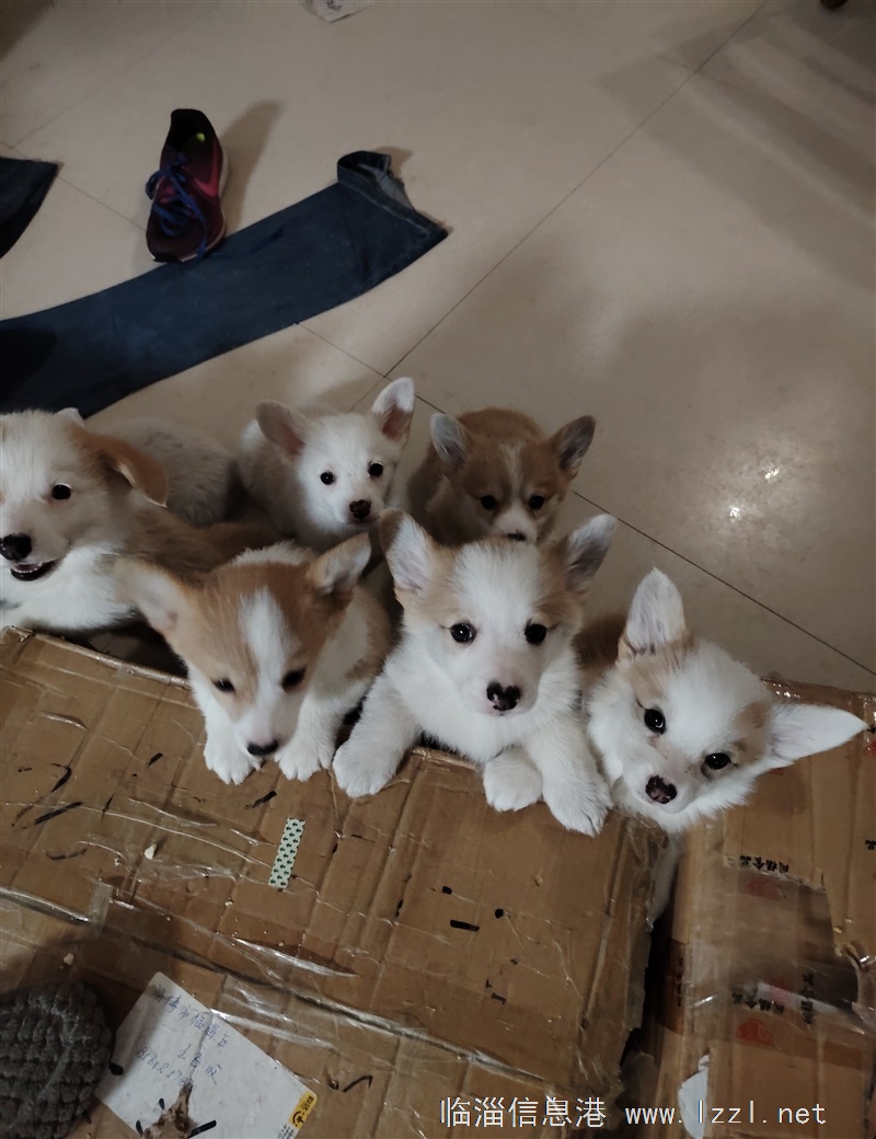 送小院合作，適合兼職的項(xiàng)目